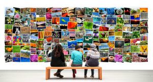 People looking at the photographs before they decide to move them with fine art movers in NYC