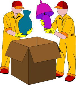 Professional Movers